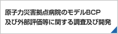 原子力災害拠点病院のモデルBCP及び外部評価等に関する調査及び開発